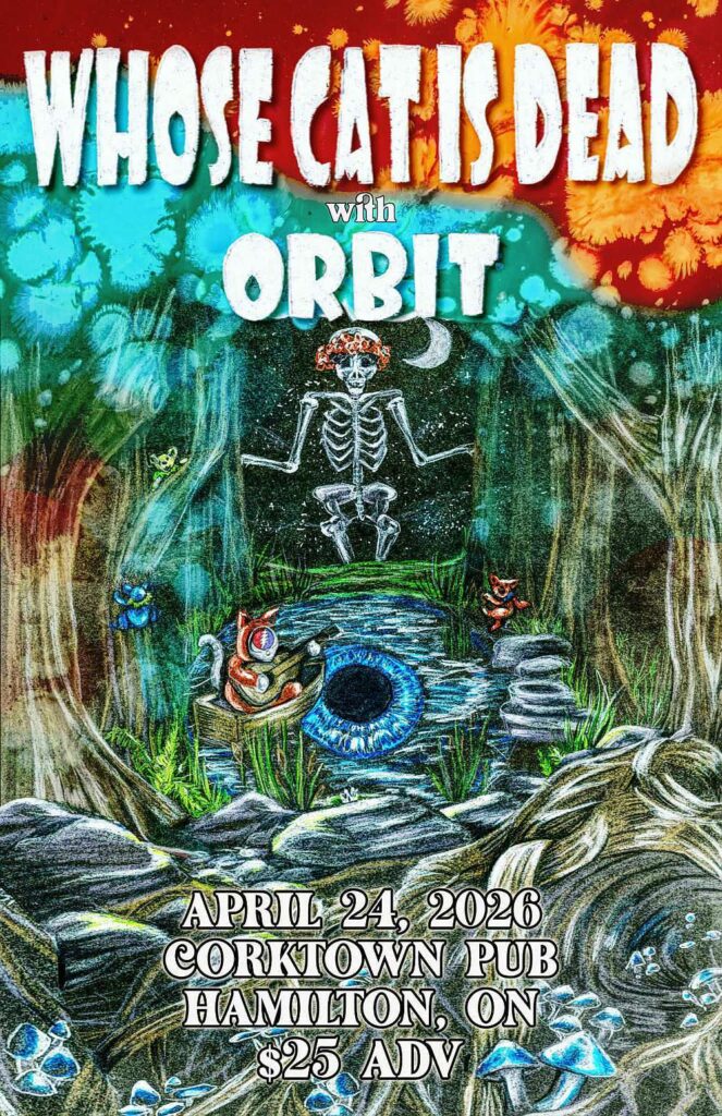Whose Cat is Dead with Orbit!